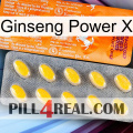 Ginseng Power X new05